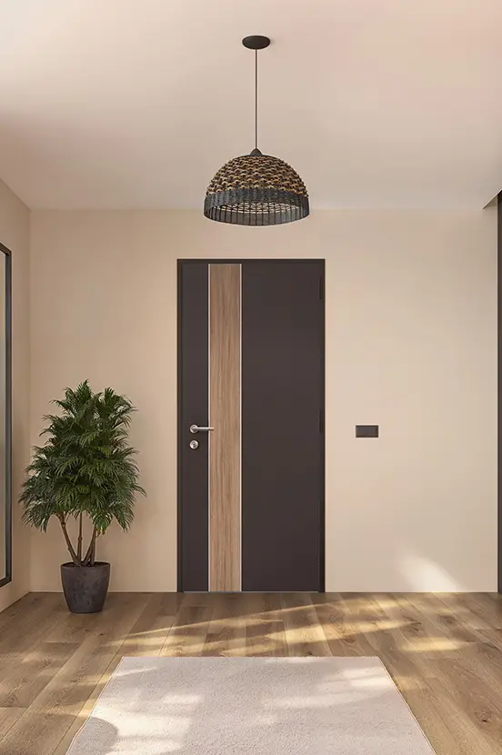 Porte d'entrée bois massif design